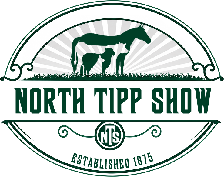 website logo